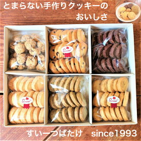 楽天市場 チョコチップクッキー 消費 賞味期限製造日から30 59日以内 の通販