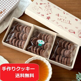 クッキー 詰め合わせ 送料無料 ショコビッセンクッキーセット（50枚以上 合計255g) 手作り ギフト 焼き菓子 サクサク ココアクッキー おしゃれ かわいい お菓子 洋菓子 美味しい プレゼント 手土産 産休 内祝い ソーシャルギフト