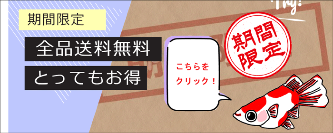 楽天市場 めだかの通販サイトをお探しなら めだか本家 めだか本家 メダカ販売 トップページ