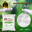 【生き餌ランキング1位】 ゾウリムシ メダカの餌 300〜2000ml 針子 稚魚 生き餌 生存率UP エサ 繁殖 ぞうりむし 日の…