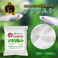 【生き餌ランキング1位】 ゾウリムシ メダカの餌 300〜2000ml 針子 稚魚 生き餌 生存率UP エサ 繁殖 ぞう…