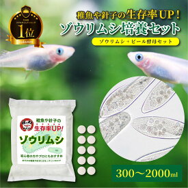 【生き餌ランキング1位】 ゾウリムシ 培養 《ゾウリムシ＋ビール酵母付 培養セット》 メダカの餌 300〜2000ml 針子 稚魚 生き餌 生存率UP エサ 繁殖 ぞうりむし 日の丸めだか 生体 種水 活餌 栄養補給 増殖力 インフゾリア