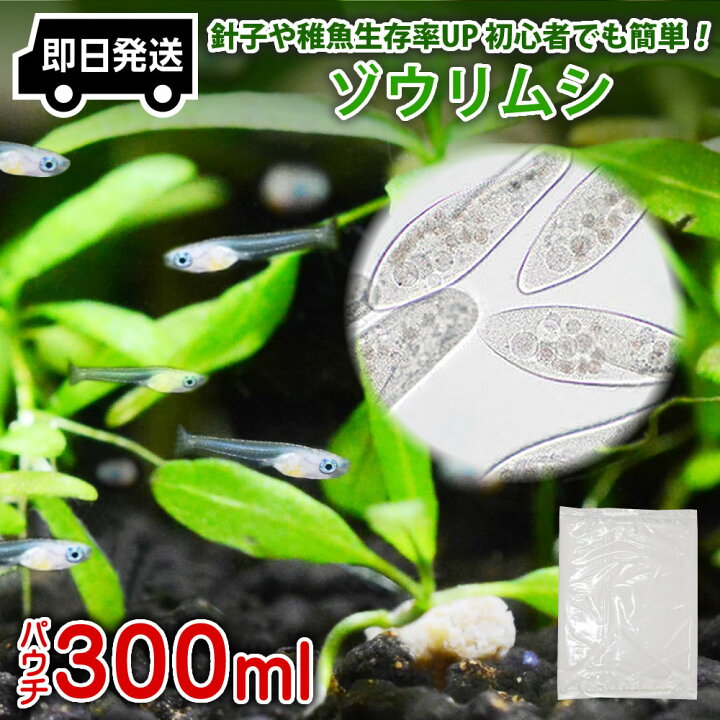 楽天市場 送料無料 即日発送 ゾウリムシ 300ml メダカの餌 針子 稚魚 餌 生き餌 エサ ぞうりむし ミジンコ みじんこ クロレラ めだか ヒメダカ 日の丸メダカ 日の丸めだか 楽天市場 送料無料 即日発送 ゾウリムシ 300ml メダカの餌 針子 稚魚 餌 生き餌 エサ ぞうりむし ミジンコ みじんこ クロレラ めだか ヒメダカ 日の丸メダカ 日の丸めだか