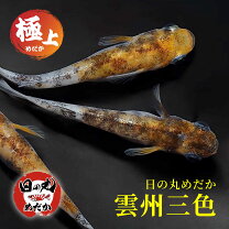 楽天市場】雲州三色の通販
