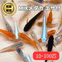 【観賞魚ランキング1位】 【エサ付】色とりどりの メダカ MIX（ミックス） 初心者にもオススメ♪ 10匹・20匹・50匹・1…