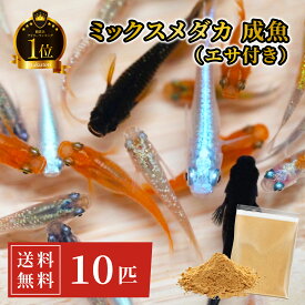 【観賞魚ランキング1位】 メダカ 生体 ミックスメダカ 有名ブリーダー愛用のエサ付き 死着保証 【日の丸めだか】 10~100匹 送料無料 めだか 高級 観賞魚 アクアリウム 初心者にもオススメ♪