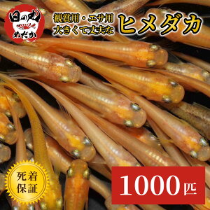 yϏ܋LO1ʁz q_J _J  ẙۂ߂z 嗱 10`1000C ߂ Ϗ  Ai a Ђ߂