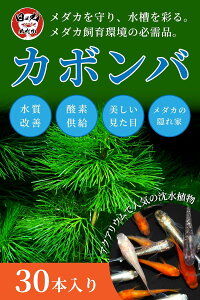  _J J{o ẙۂ߂z_ (30{)  ߂  Y P B RP} 