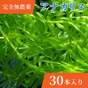 yS_z  _J AiJX ̊ۂ߂ (Y) IIJi_ ߂ Y ȒP͔|  rIg[v  B  S  Ԃ̐ Ԃ̑ v Ă