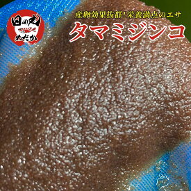 【即日発送・送料無料】 ミジンコ 生体 タマミジンコ メダカの餌 日の丸めだか メダカ 稚魚 針子 餌 産卵効果 グリーンウォーター 体力＆繁殖力増加 みじんこ 金魚餌 金魚 熱帯魚