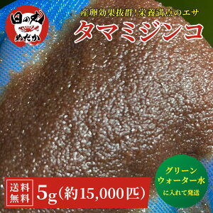 yEz ~WR  ^}~WR _J̉a ̊ۂ߂ _J t jq a Y O[EH[^[ ̗́ɐB͑ ݂ a  Mы