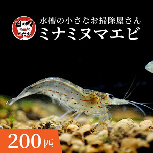 ~i~k}Gr  ẙۂ߂z Gr 10~200C _J  RP  ca΍ ߂  j ANAE N[i[  Mы |