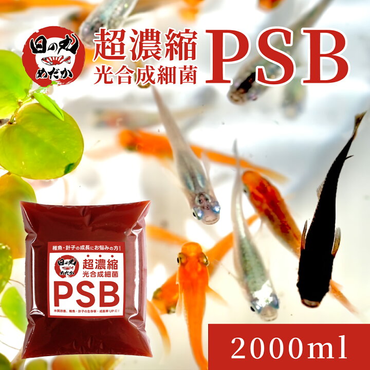 楽天市場】【送料無料】 PSB 超濃縮 光合成細菌 メダカ 針子 稚魚 300 