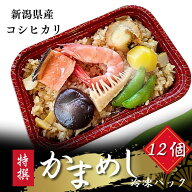 冷凍釜めしパック 12食入 山菜 きのこ えびほたて 五目 釜飯 かまめし 釜飯セット ご飯セット ごはん 食…