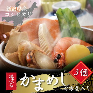 VYRVqJ100 3ޑIׂ Ⓚ߂Zbg O ߂  ܂߂ уZbg 䒆 Hו  Mtg Mtg Ⓚٓ v[g W  w ٓ `