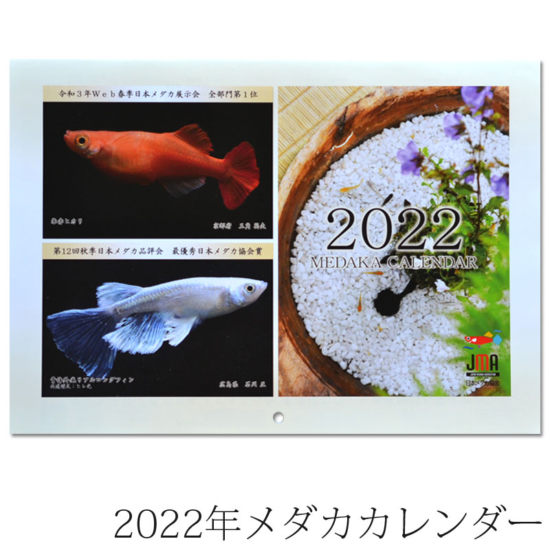 ストア 日本メダカ協会カレンダー 在庫一掃売り切りセール 2022年
