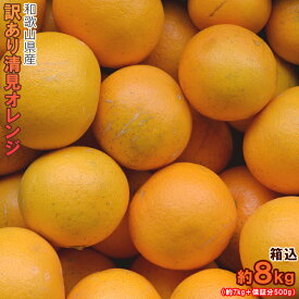 清見オレンジ 8kg（箱込約8kg）和歌山県産　訳あり・ご家庭用 / きよみ　送料無料（東北・北海道・沖縄県除く）【同梱不可・配達日指定不可】