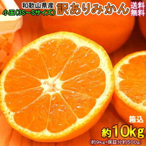 みかん 10kg 送料無料の人気商品 通販 価格比較 価格 Com
