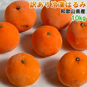 みかん 10kg 送料無料の人気商品 通販 価格比較 価格 Com みかん 10kg 送料無料の人気商品 通販 価格比較 価格 Com