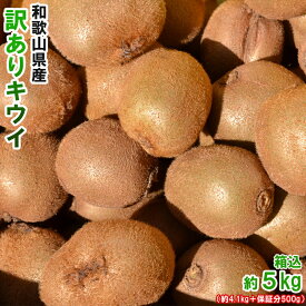 キウイ 5kg（箱込約5kg）和歌山県産　訳あり・ご家庭用　送料無料（東北・北海道・沖縄県除く）【同梱不可・配達日指定不可】