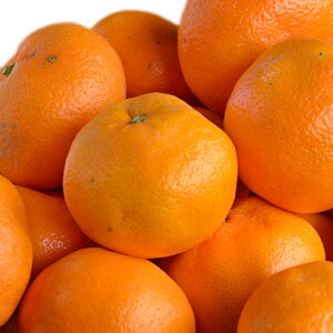 ݂ ʁi2LTCYȏj8kgi8kgja̎RY@󂠂Eƒp@ikEkCEꌧjysEzBwsz