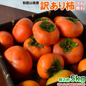 ` 5kgi5kgja̎RY@󂠂Eƒp@ikEkCEꌧjysEzBwsE10{珇\z