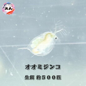 【全品対象5,000円以上で500円OFF】オオミジンコ 約500匹 生餌 メダカ水槽 金魚水槽 ミジンコ めだか 送料無料