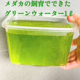 グリーンウォーター1リットル　ビオトープ　メダカ水槽　青水