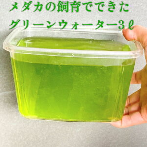 O[EH[^[3bg@rIg[v@_J@