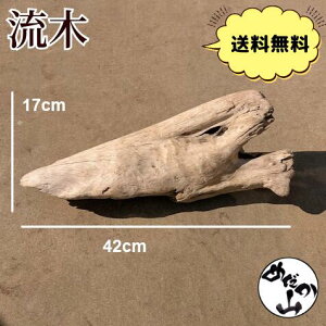 y؁z_h@  rIg[v R ؃A[g CeA ঒ ,Mы ANAE eE DIY GAvc `WA ۃeE R W _J ঒  ~