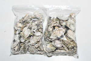 ykETCYE5kg@ _J  AJ  V kM Mы Ϗ܋  