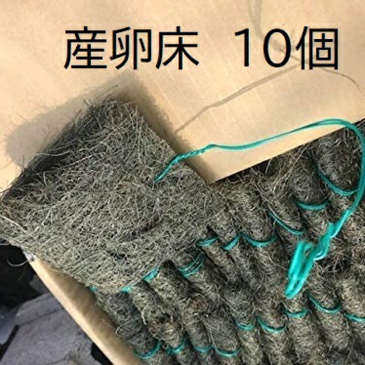 楽天市場 メダカ産卵床 10個 メダカ 幹之 楊貴妃 産卵 卵 猫飯 メダカ女子 めだか屋 猫飯 楽天市場店