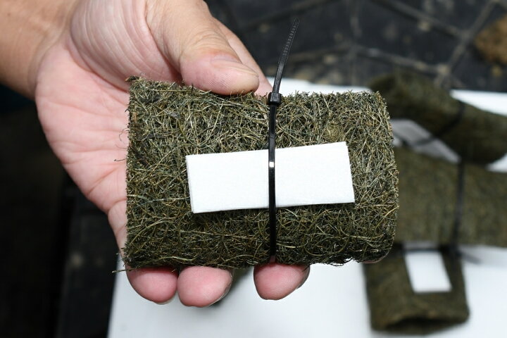 楽天市場】フロータイプメダカ産卵床・100個 ※北海道は送料400円・沖縄 