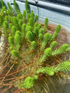 ~ItB@IWE15Z`E10 kC600~Eꑗ500~@@@@_J@@rIg[v