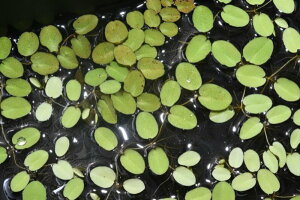 IITVEE10 kC600~Eꑗ500~@@@@_J@@rIg[v