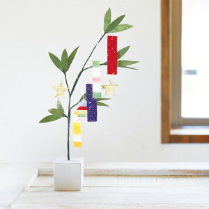 [   u ΎL ~j Z  肢 a ăMtg  Mtg 蕨  fBXvC RpNg|[ ߂ł_i28cmj