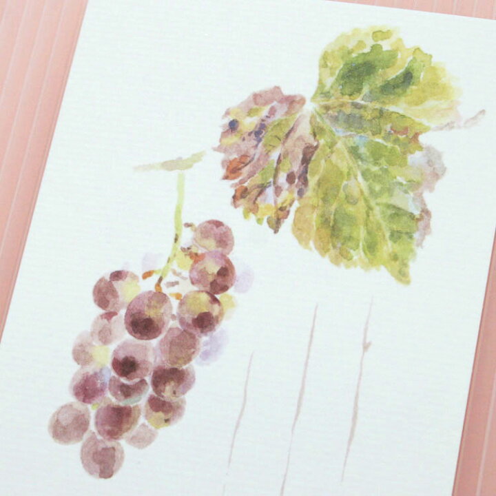 楽天市場 和紙の絵葉書 果物 イラスト ポストカード 手紙季節の絵はがき 秋 ぶどう 和紙の店 めでたや 楽天市場店