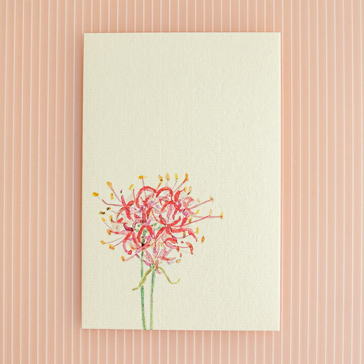 楽天市場 和紙の絵葉書 秋の花 イラスト ポストカード 手紙 季節の絵はがき 秋 彼岸花 和紙の店 めでたや 楽天市場店