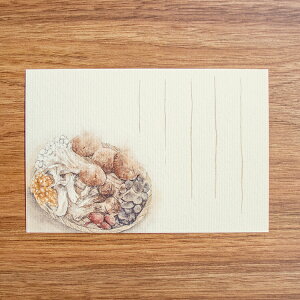 和紙の絵葉書 秋の味覚 イラスト ポストカード季節の絵はがき［秋］きのこ