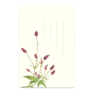 Gt ͂ |XgJ[h RE ᖒg bZ[WJ[h 莆|G߂̊G͂mHn