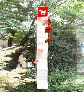medetaya moderna 邵 n I[igJ[h   Xe