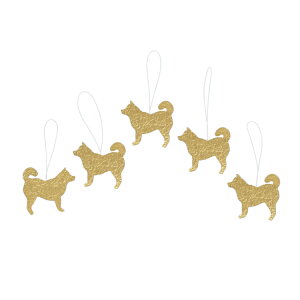 medetaya moderna  x I[ig 邵   5