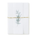 ポチ袋 水引 和紙 お年玉袋 お祝い ご祝儀 お祝い 新築祝い 引っ越し お車代 お礼 謝礼 封筒 おしゃれ かわいい 祝儀袋|medetaya modern ぽち袋 ローズマリー