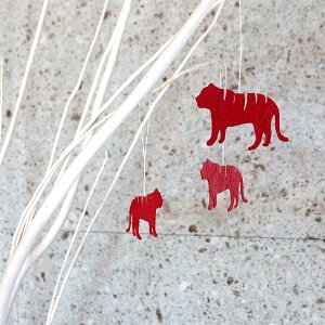 medetaya moderna _ fBXvC  I[ig 邵  Ƃ 5