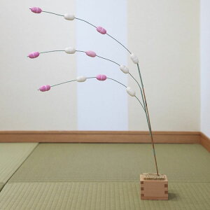 a sbN ݉ N  fBXvC  ܂