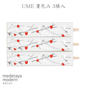medetaya modernâ ĂȂ   UME  ~ 3V