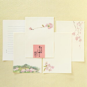 ւ B5 ^[p   TN t p ^[y[p[ ǎ a 莆 rȂ A  a 蕨 {|g  炳 420