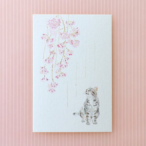 和紙の絵葉書 イラスト ポストカード 季節の絵はがき［春］猫としだれ桜