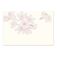 絵葉書 和紙 桜 さくら 満開 お花見 はがき 罫線なし ポストカード ハガキ 手紙 日本製 挨拶状 メッセー…