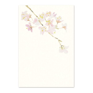 Gt a   J Ԍ ͂ rȂ ւ |XgJ[h nKL 莆 { A bZ[WJ[h TN ސE A  i w MtgG߂̊G͂mtn